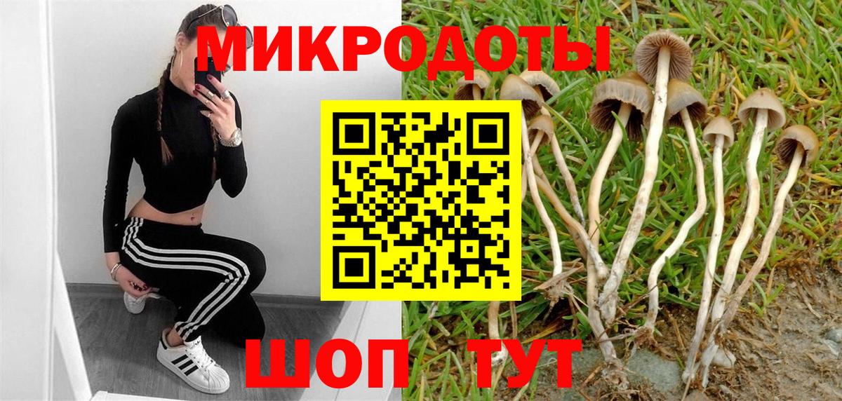 Полевской  Галлюциногенные грибы Cubensis  Вход с VPN 