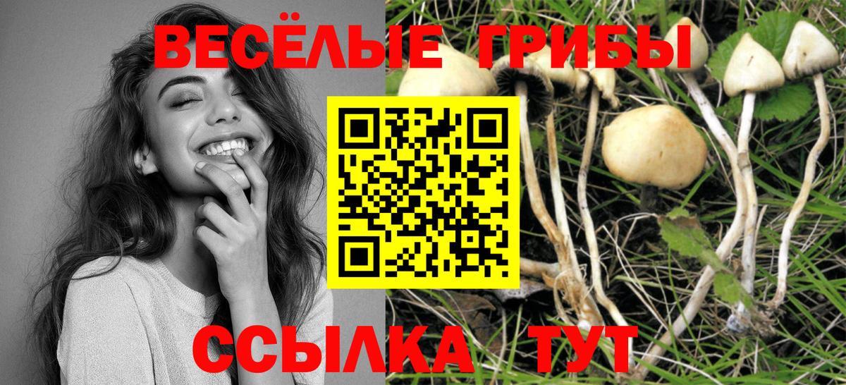 Псилоцибиновые грибы GOLDEN TEACHER Полевской